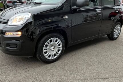 Fiat Panda 3.500 km 15.490 &euro; Lage 32791