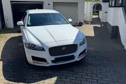 Jaguar XF 139.362 km 19.500 &euro; Bad Oeynhausen 32549