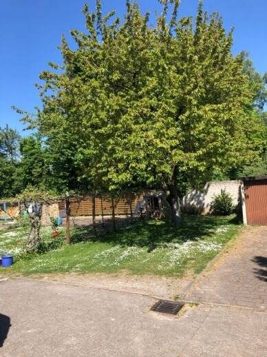 Mehrfamilienhaus, Wohnhaus Bad Salzuflen Schötmar - 7 Zimmer, 388.000&euro; | Angebot:25695345