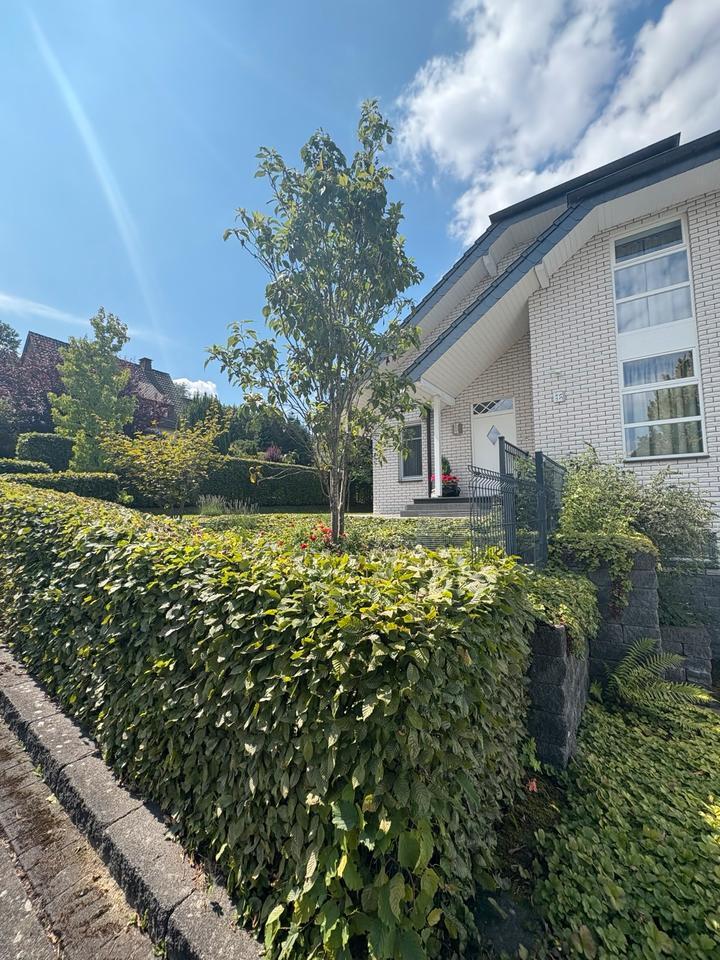 Traumhaus vom Architekten