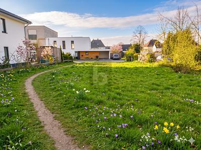 HOHE AUSNUTZBARKEIT IN TOPLAGE - Grundstück Halle | Angebot:26843152