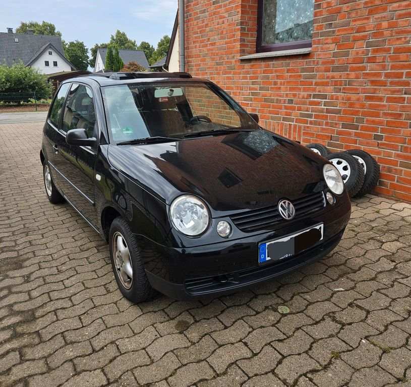 Lupo