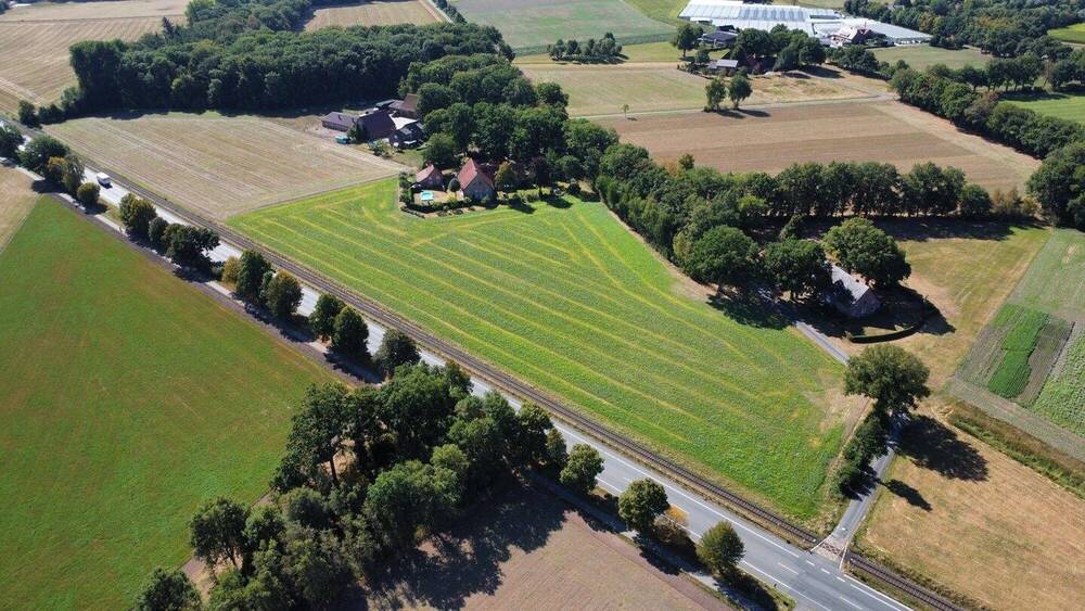 Einfamilienhaus Herzebrock-Clarholz Clarholz - 8 Zimmer, 180 m&sup2;, 850.000&euro; | Angebot:24041753