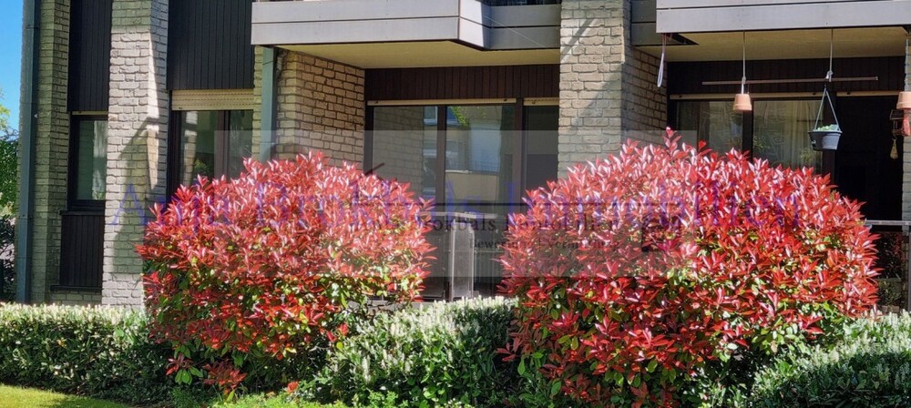 Nähe StadtparkKlinikum GT: Hochparterre mit Tiefgaragenstellplatz - bezugsfrei - für Käufer provisionsfrei - 2- Gütersloh Kattenstroth | Angebot:26992790