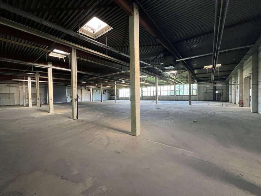 Halle in Löhne 5.800 € 1600 m²