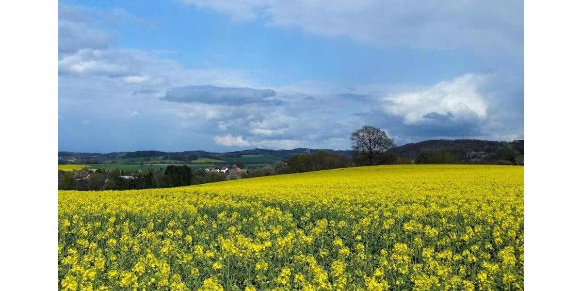 Etagenwohnung Bad Salzuflen Ehrsen-Breden - 4 Zimmer, 100 m&sup2;, 750&euro; | Angebot:25044154
