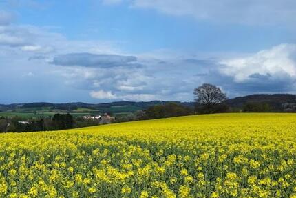 Wohnung Bad Salzuflen Ehrsen-Breden - 4 Zimmer, 100 m&sup2;, 750&euro; | Angebot:25044154