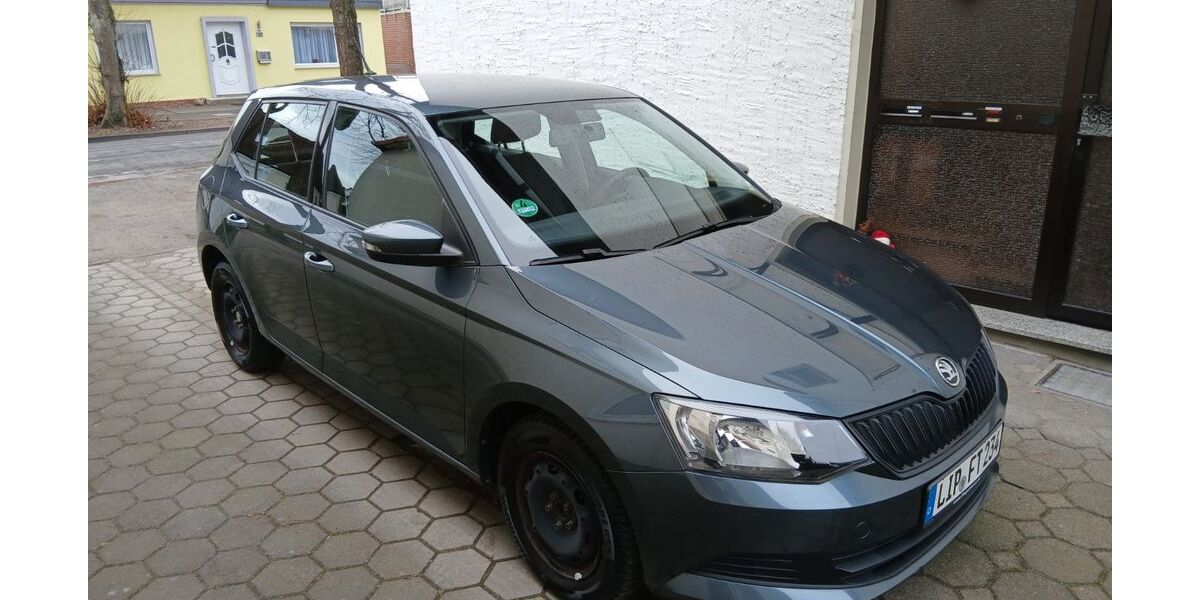Skoda Fabia 69.071 km 7.499 &euro; Lage 32791