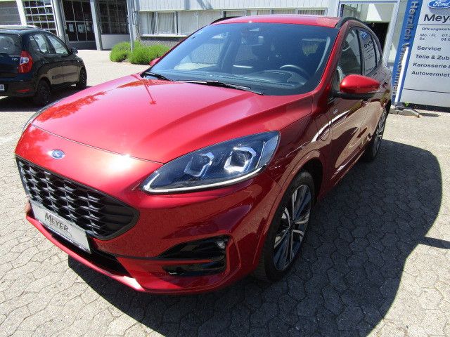 Kuga