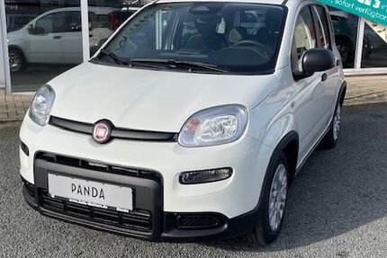 Fiat Panda 5.713 km 14.990 € Herford 32049