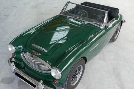Austin Healey Andere 30.900 km 55.000 &euro; Oerlinghausen 33813