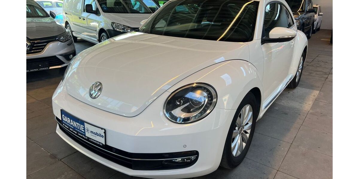 VW Beetle 136.000 km 8.999 &euro; Lemgo 32657