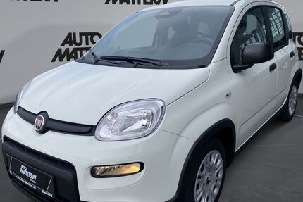 Fiat Panda 5.713 km 13.490 &euro; Herford 32049