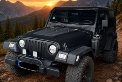 Jeep Wrangler 155.000 km 16.550 &euro; Spenge 32139