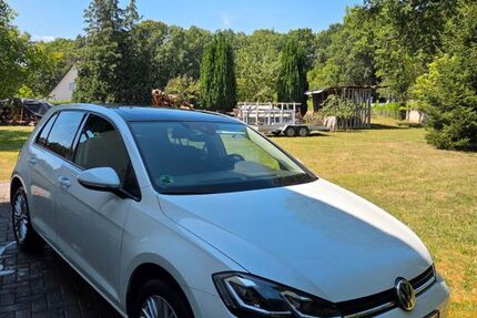 VW Golf 117.000 km 17.499 &euro; Bielefeld 33699