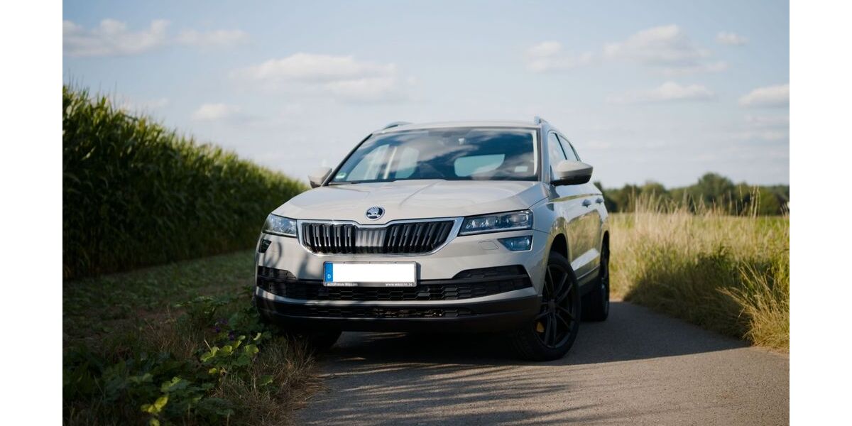 Skoda Karoq 96.650 km 18.500 &euro; Oerlinghausen 33813