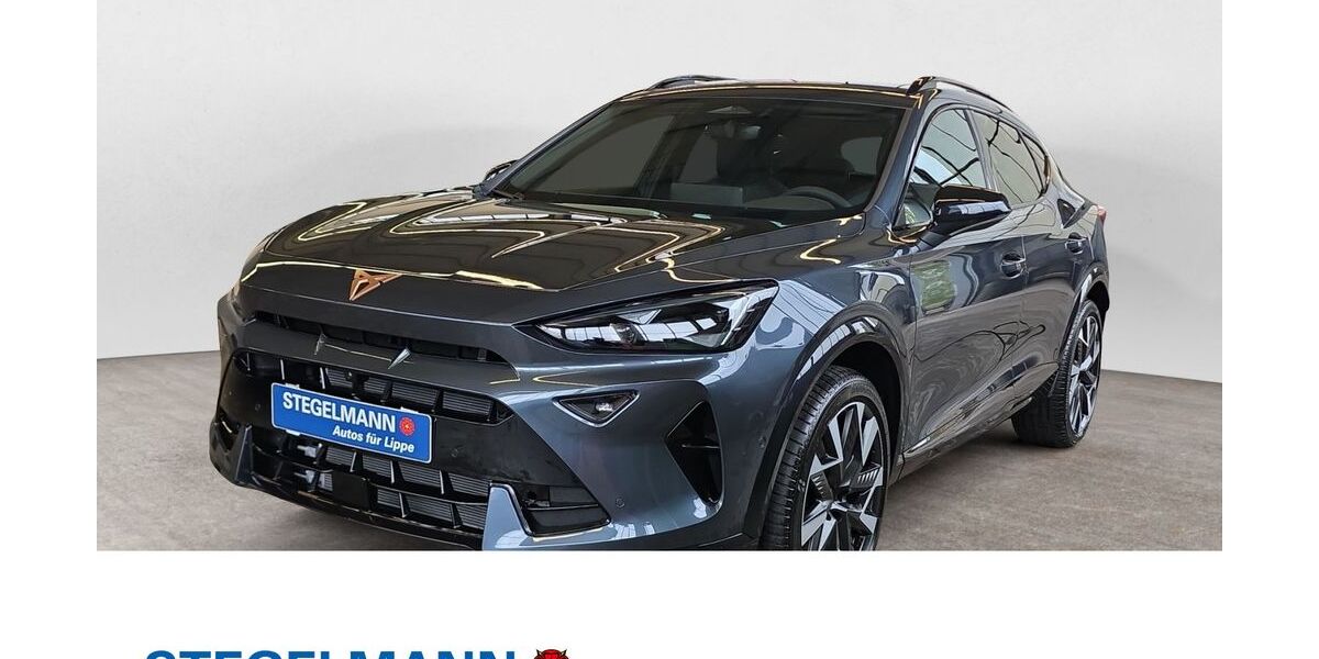 Cupra Formentor 1.950 km 38.780 &euro; Detmold 32756