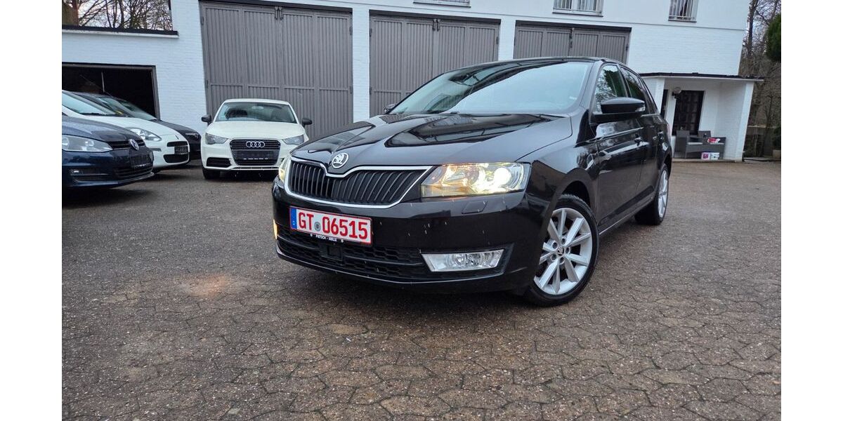 Skoda Rapid 102.000 km 9.990 &euro; Werther 33824