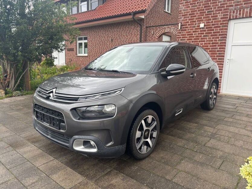 C4 Cactus