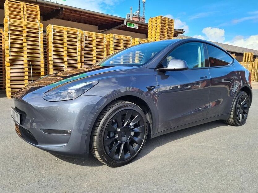 Model Y
