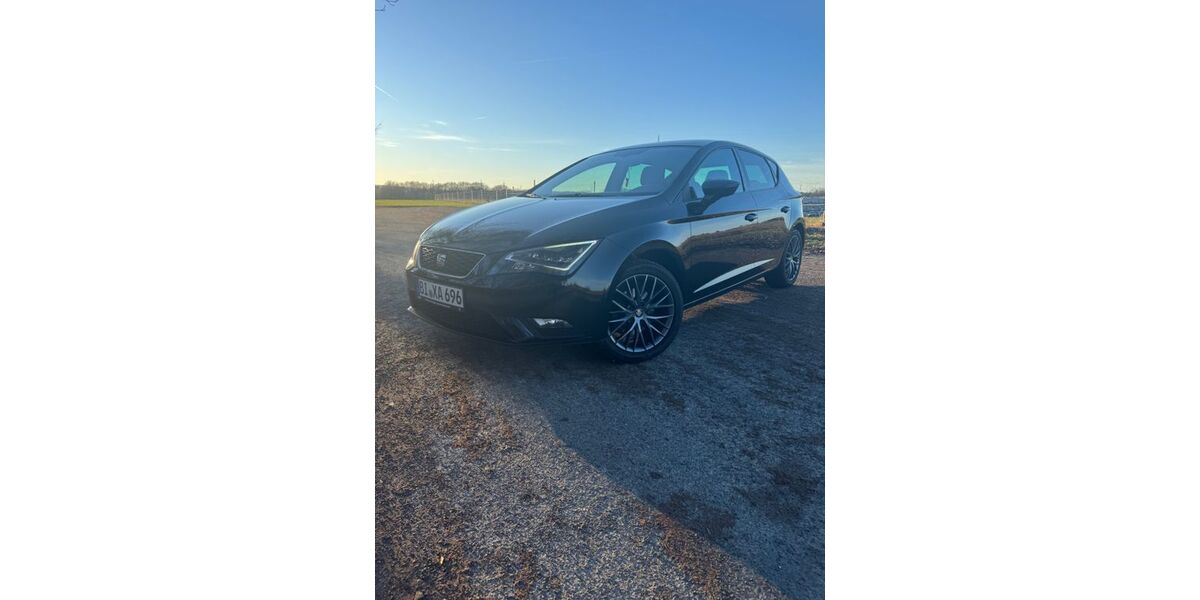 Seat Leon 173.000 km 9.100 &euro; Bielefeld 33609