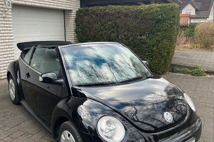 VW Beetle 168.232 km 3.699 € Steinhagen 33803