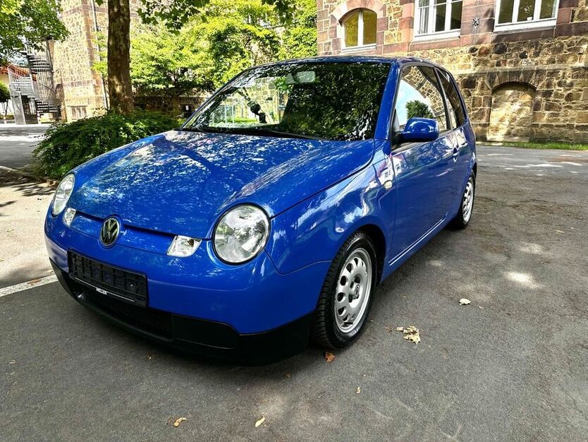 Lupo