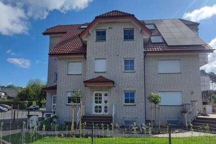 Wohnung zum Mieten in Schloß Holte-Stukenbrock 350 € 41 m² 2 zimmer