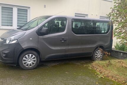 Opel Vivaro 161.000 km 9.690 € Detmold 32758