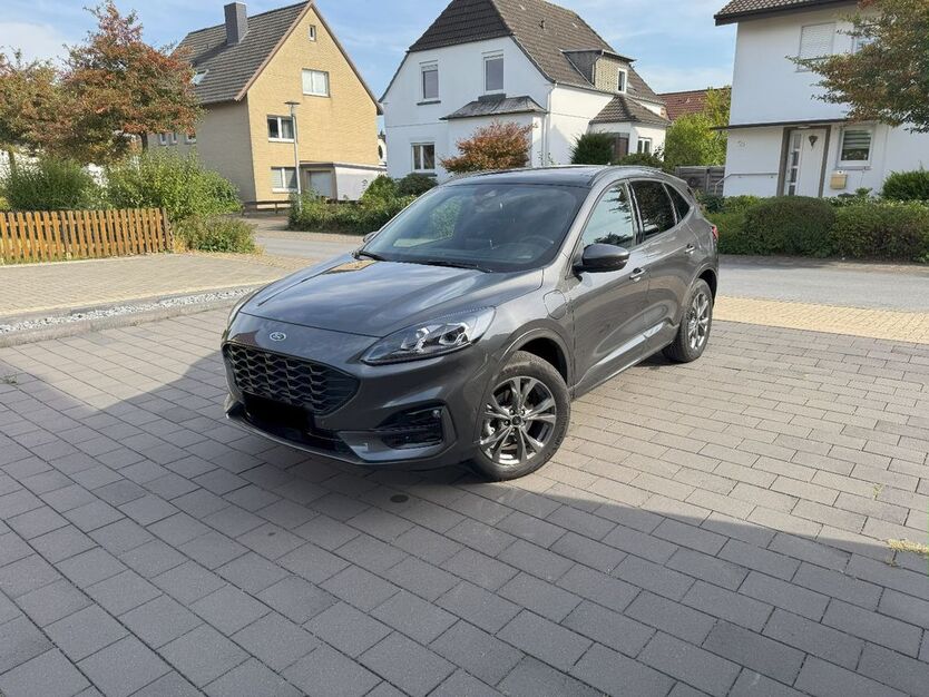 Kuga
