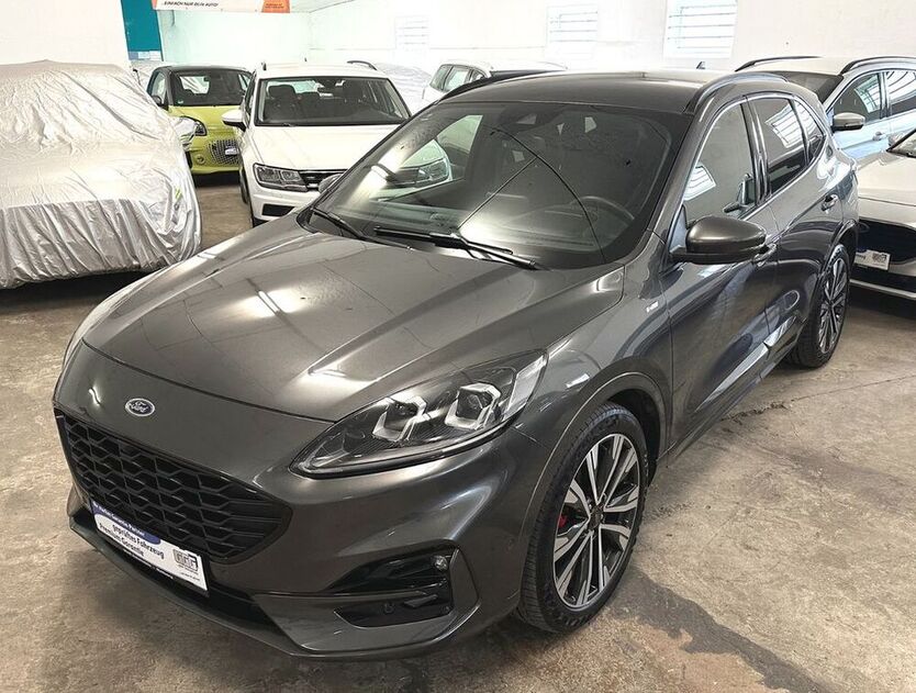 Kuga