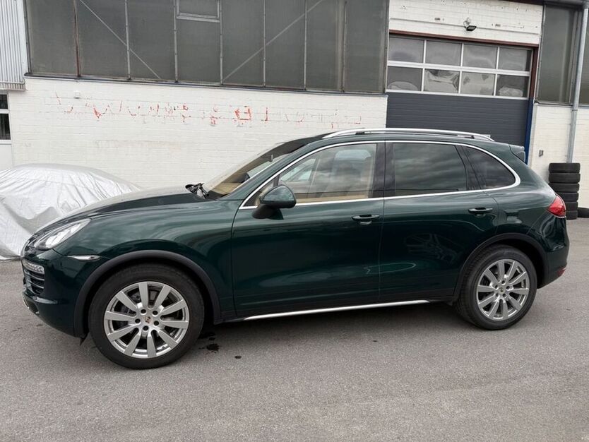 Cayenne