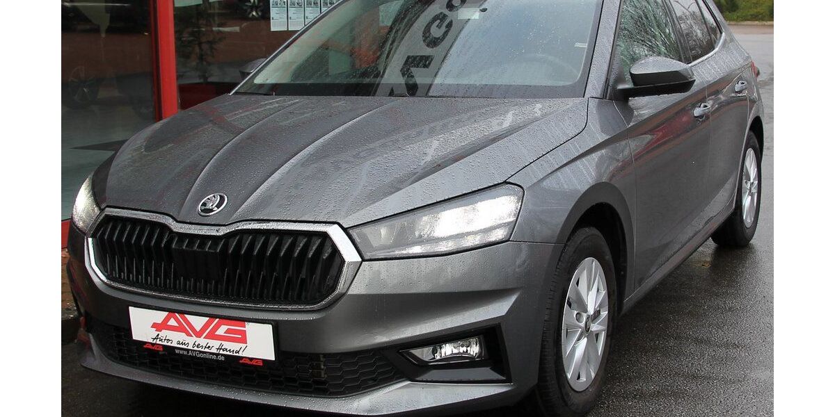 Skoda Fabia 20.417 km 19.450 &euro; Hüllhorst 32609