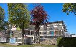 Erdgeschoßwohnung Harsewinkel - 3.5 Zimmer, 120 m&sup2;, 395.000&euro; | Angebot:26325815