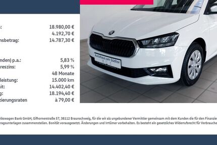 Skoda Fabia 2.000 km 18.980 &euro; Rietberg 33397