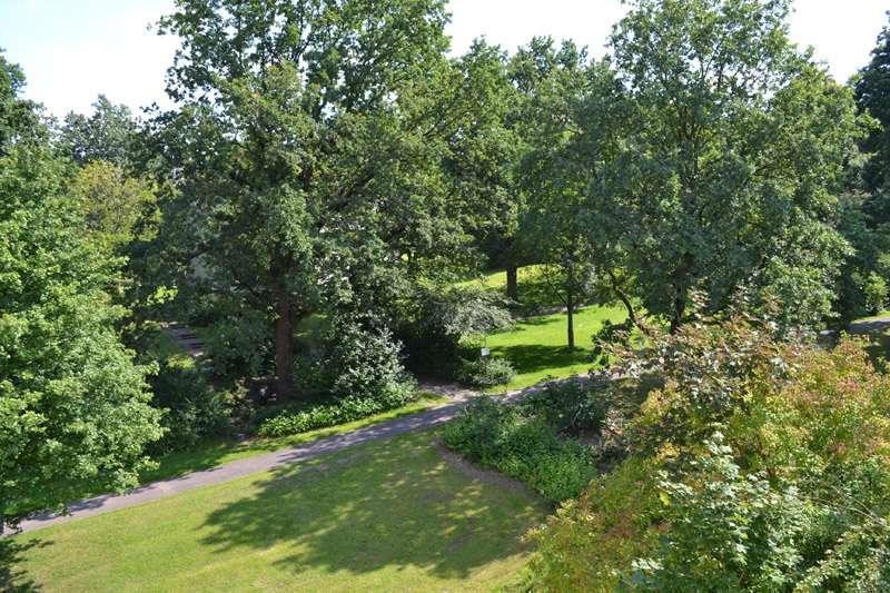 Wohnung zum Mieten in Detmold 489 € 69 m²