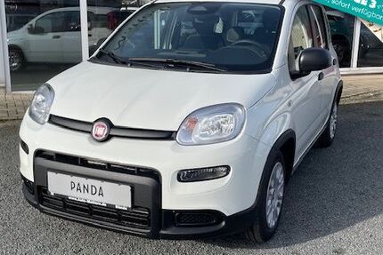 Fiat Panda 1.480 km 14.990 € Lage 32791