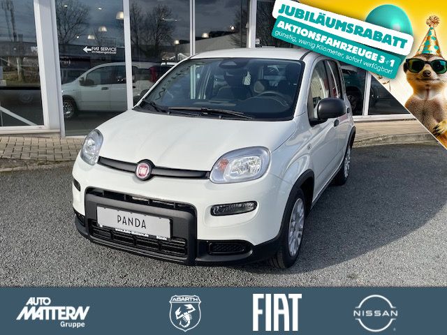 Fiat Panda 1.480 km 14.990 € Lage 32791