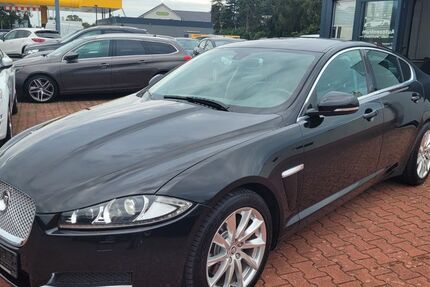 Jaguar XF 200.850 km 6.990 € Halle (Westfalen) 33790