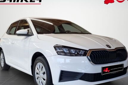 Skoda Fabia 40.573 km 13.430 € Bielefeld 33649