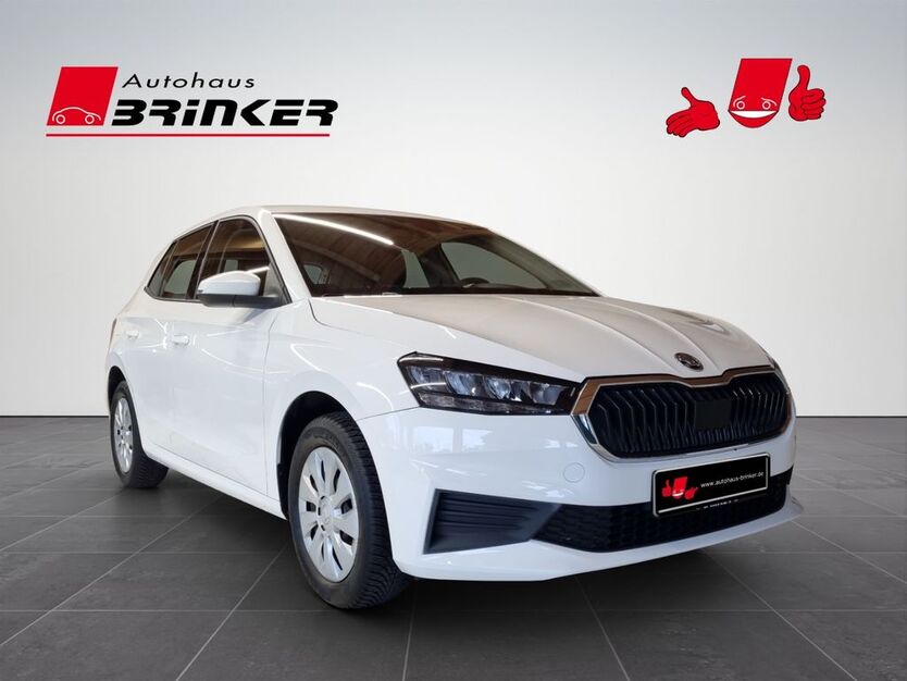 Skoda Fabia 40.573 km 13.430 € Bielefeld 33649