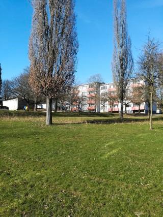 Etagenwohnung Herford Falkendiek - 3 Zimmer, 79 m&sup2;, 514&euro; | Angebot:26079950