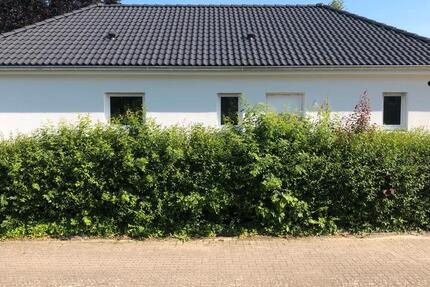 Haus zur Miete - Neubau Bungalow zum Erstbezug in Hüllhorst