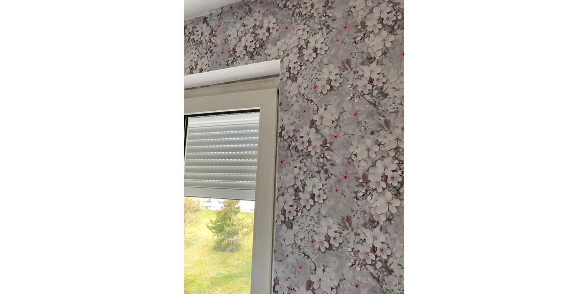 Modernisierte 4-Zimmer-Wohnung für Familien in Sennestadt 4 zimmer