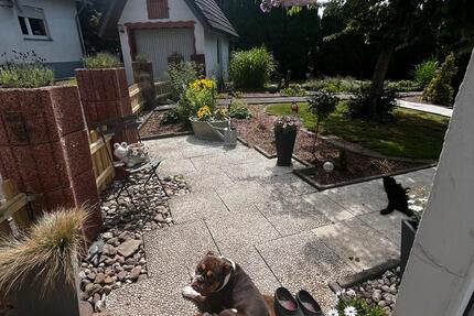 Wunderschönes kleines Häuschen an tierliebe Einzelperson 2 zimmer