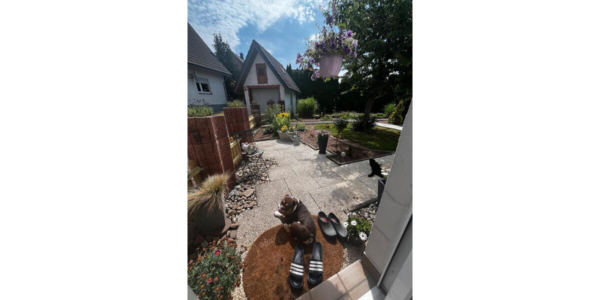 Wunderschönes kleines Häuschen an tierliebe Einzelperson 2 zimmer