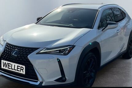 Lexus UX 67.608 km 24.840 &euro; Gütersloh 33330