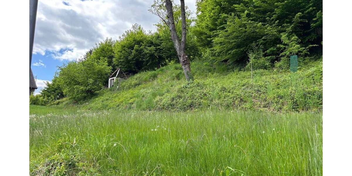 Grundstück Detmold / Berlebeck Berlebeck - 88.000&euro; | Angebot:26731540