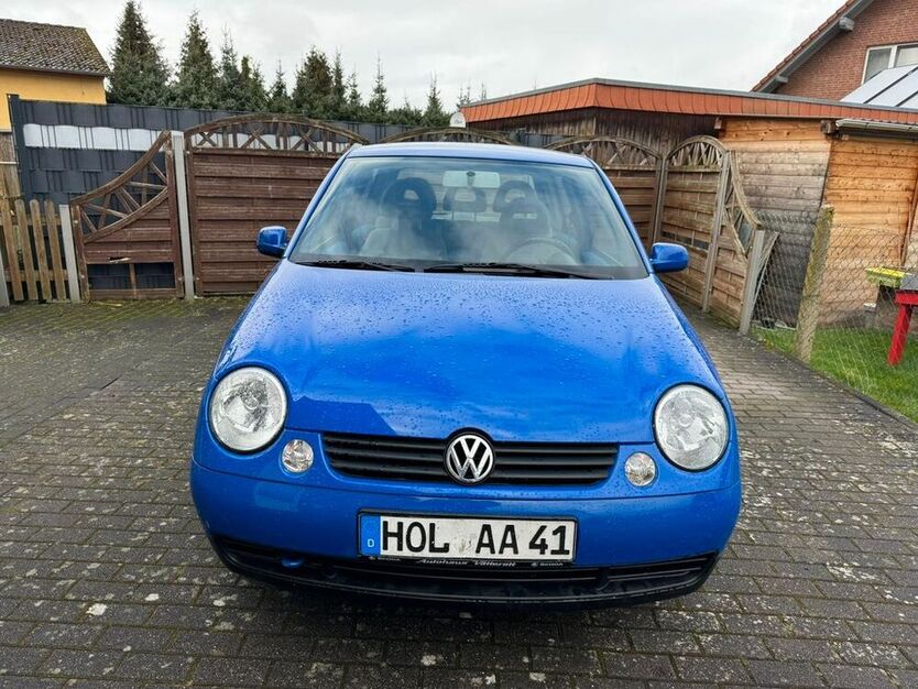 Lupo