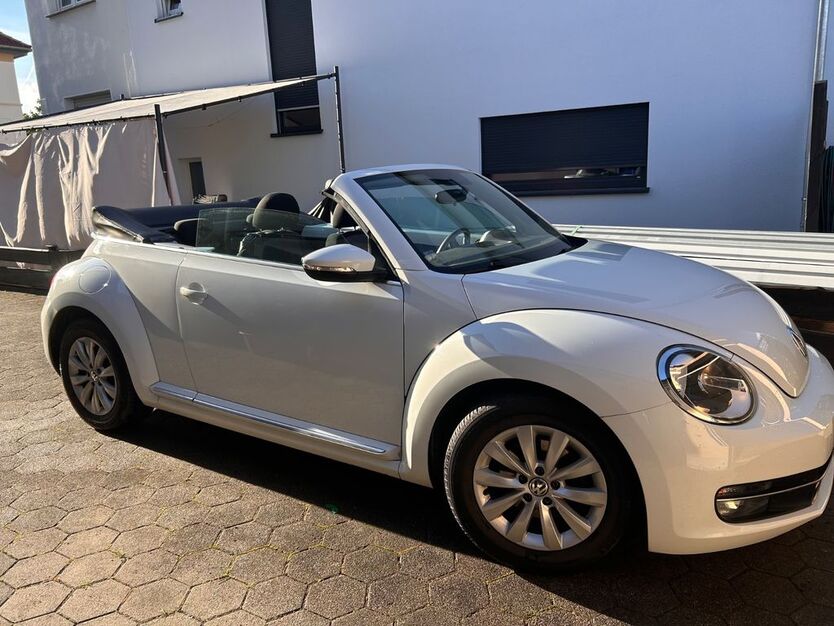 Beetle